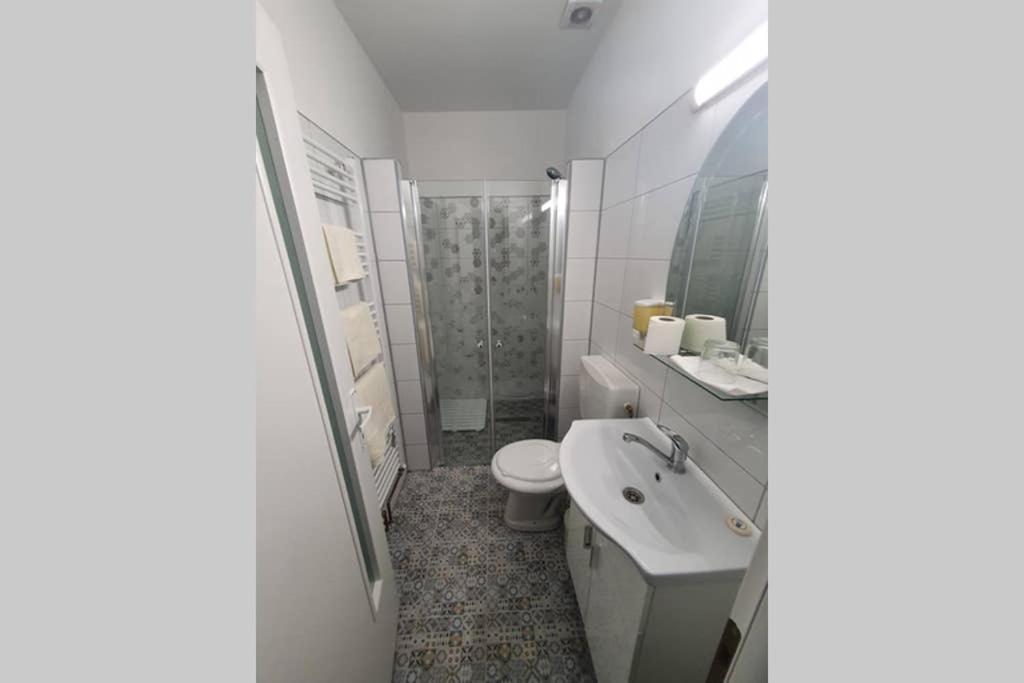 Apartmán Casa Frizerului - Pets Allowed For Free & Moto Friendly Sebeş Exteriér fotografie