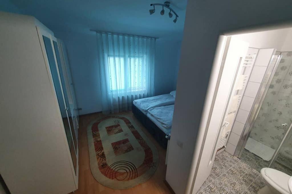Apartmán Casa Frizerului - Pets Allowed For Free & Moto Friendly Sebeş Exteriér fotografie