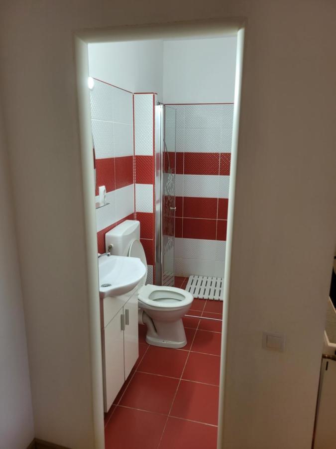 Apartmán Casa Frizerului - Pets Allowed For Free & Moto Friendly Sebeş Exteriér fotografie